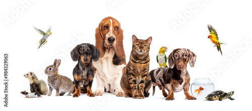 Φωτογραφία Group of pets posing together; dog, cat, ferret, rabbit, bird, fish, rodent, iso