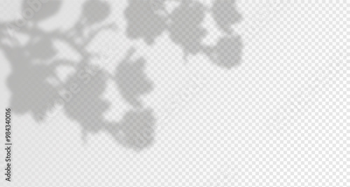 Glare from the sun's rays on the wall. Blurred shadows from leaves and plants in the room. Soft overlay of natural light. Abstract background for product presentation.Natural light layout.