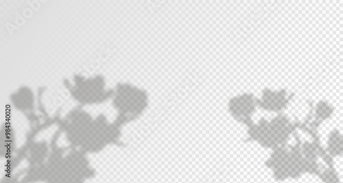 Glare from the sun's rays on the wall. Blurred shadows from leaves and plants in the room. Soft overlay of natural light. Abstract background for product presentation.Natural light layout.