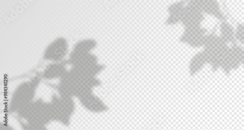 Glare from the sun's rays on the wall. Blurred shadows from leaves and plants in the room. Soft overlay of natural light. Abstract background for product presentation.Natural light layout.