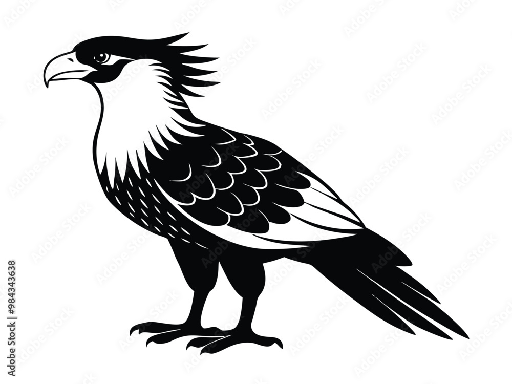 Fototapeta premium eagle silhouette vector
