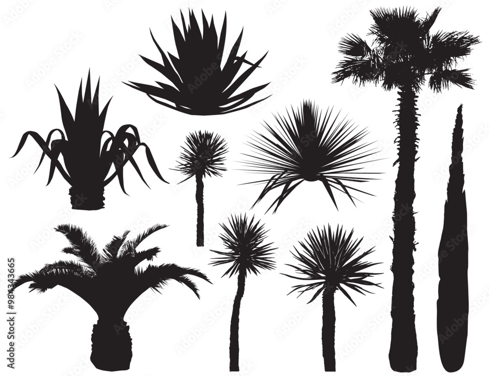 Southern plants and trees. Silhouette vector set