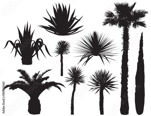 Obraz na płótnie Southern plants and trees. Silhouette vector set w salonie