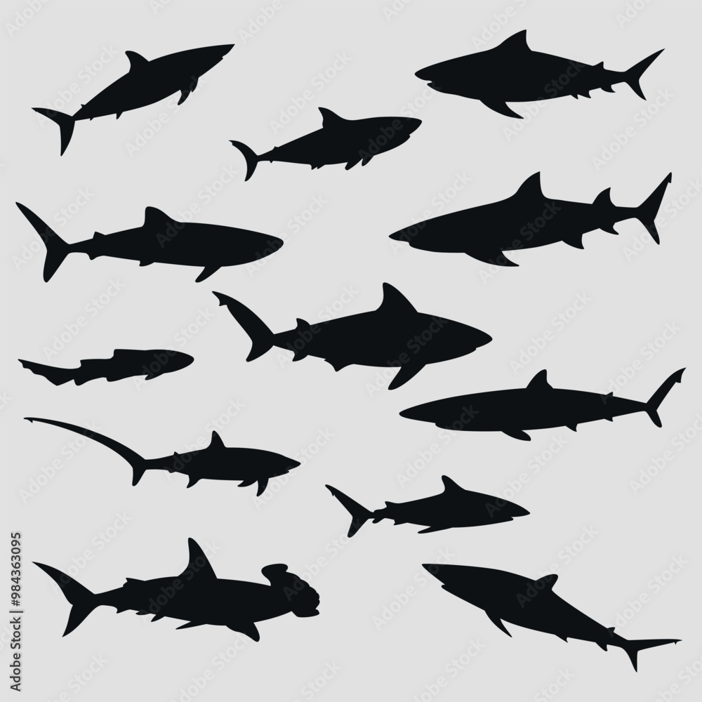 Fototapeta premium A collection of black icons of different types of sharks. Dangerous sharks. Vector on a gray background