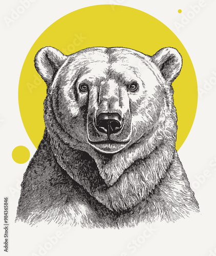 Obraz na płótnie Vintage engraving illustration portrait of a bear w salonie