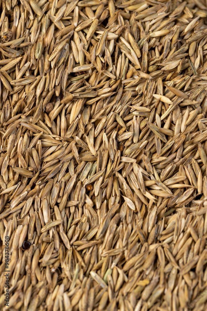 mixed seeds of perennial and annual grass for lawn mixed seeds of perennial and annual grass for lawn