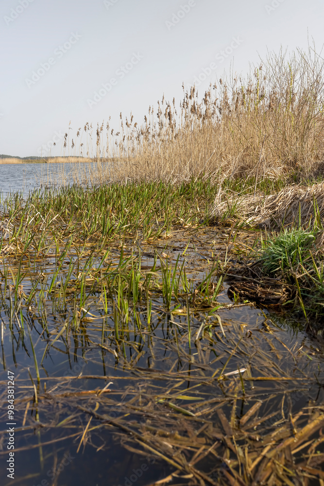 dark muddy lake water in winter without snow dark muddy lake water in winter without snow