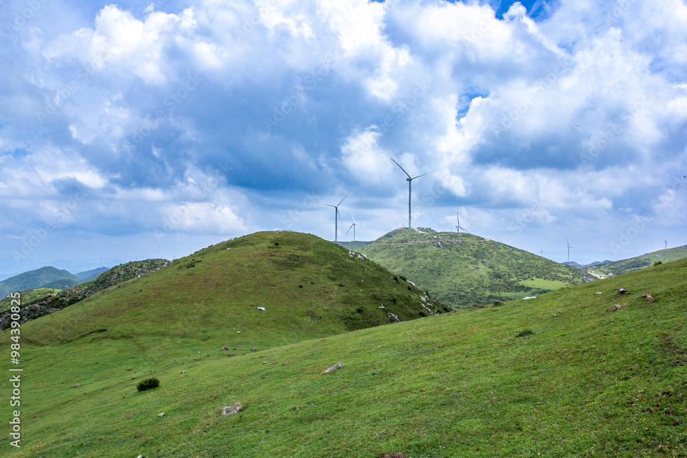 Green prairie under blue sky and white clouds Green prairie under blue sky and white clouds