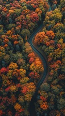 Aerial view of  road through autumn forest hd phone wallpaper