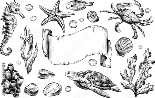 Seahorse, crab, turtle, shells, starfish, fish, bubbles, pebbles, other sea animals. Graphic illustration hand drawn in black ink. Set of isolated objects EPS vector.