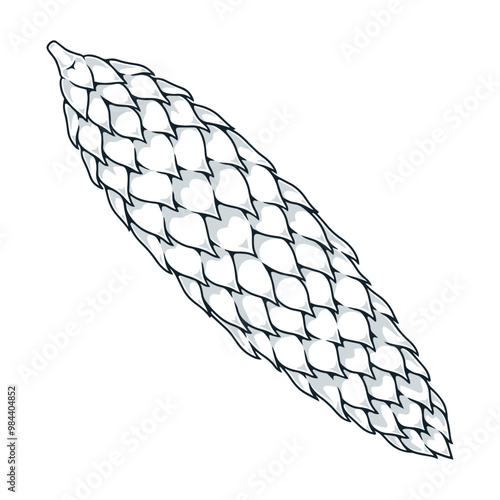 Fir cone vintage sticker monochrome