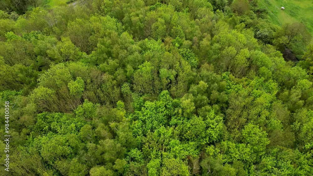 Camera slowly moving up revealing green forest and city in background Camera slowly moving up revealing green forest and city in background