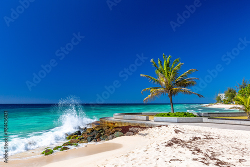 beach with palm trees