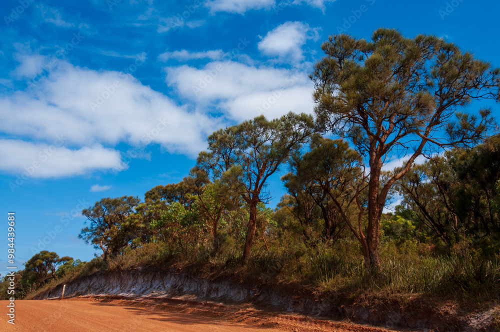 A gravel road surrounded by tall trees and native vegetation in Denmark, Western Australia, offers a quiet escape for nature lovers and adventurers exploring the remote Australian wilderness. A gravel road surrounded by tall trees and native vegetation in Denmark, Western Australia, offers a quiet escape for nature lovers and adventurers exploring the remote Australian wilderness.
