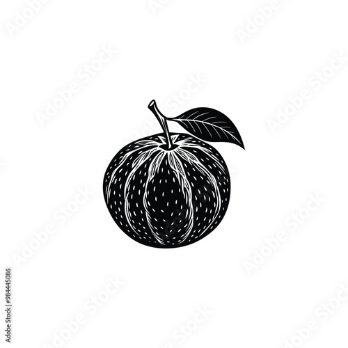 fruit silhouette vector