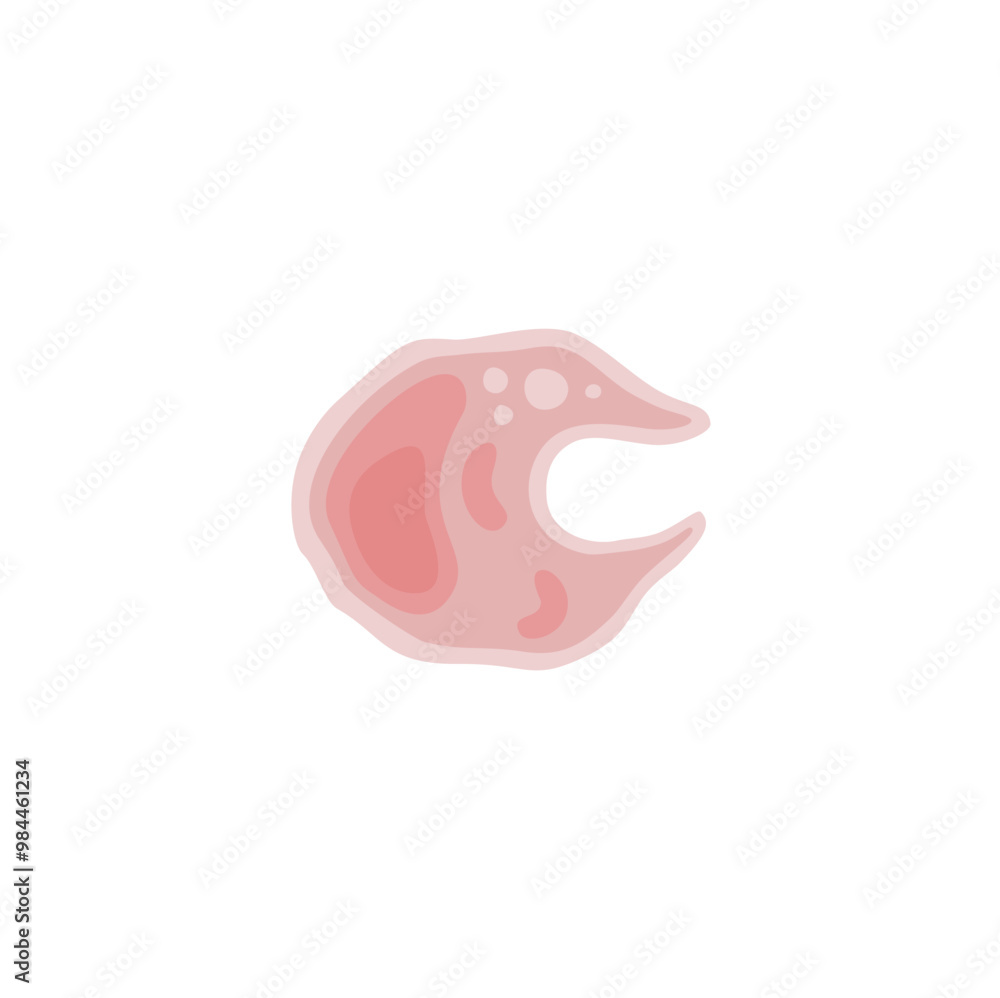 Macrophage illustration