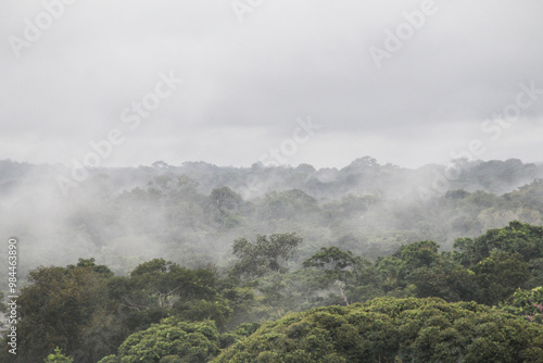 fenômeno dos rios voadores na floresta amazônica photo