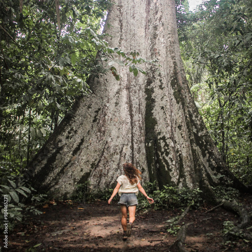 mulher ao lado de sumaúma gigante em alta floresta, mato grosso 