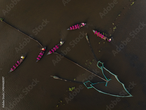  Harvesting water lilies in the floating season on Moc Hoa field, Long An. Video shot in Moc Hoa, Long An on September 9, 2024. photo