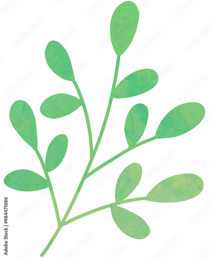 Obraz premium green leaves isolated on white background