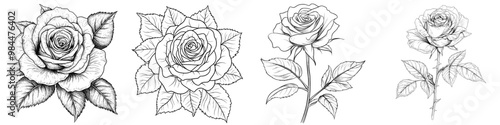 Flowing bouquet of roses hand-drawn in a linear style. Black outline with no fill. Great for wedding cards, envelopes, and packaging.