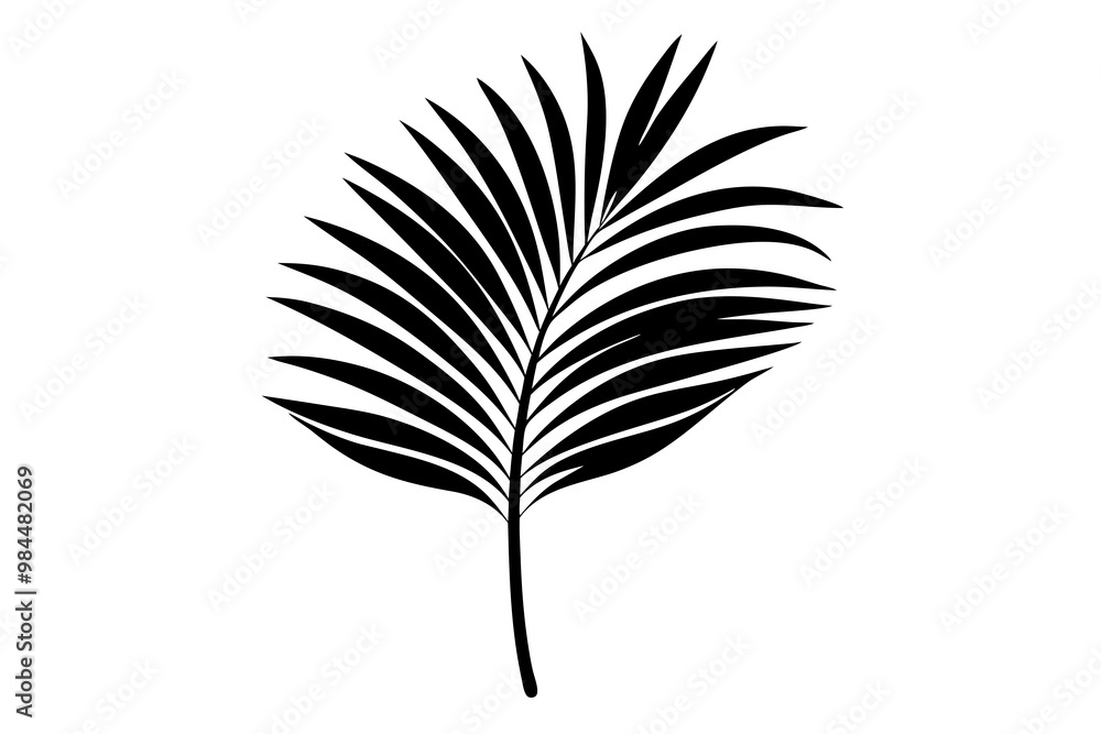 Palm leaf silhouette vector illustration
Palm leaf silhouette vector illustration