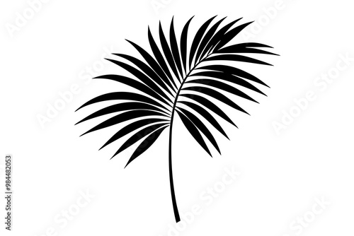 Palm leaf silhouette vector illustration 
