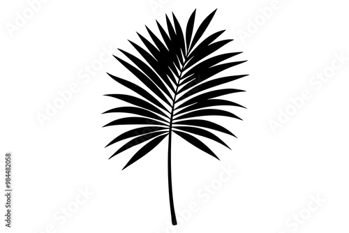 Palm leaf silhouette vector illustration 
