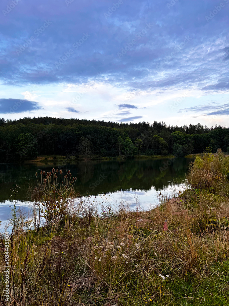 Forest lake in the back light of the morning. In front of the lake is a dry reed Forest lake in the back light of the morning. In front of the lake is a dry reed