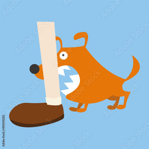dog bite lick and scratch. rabies vaccine prevention