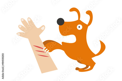 dog bite lick and scratch. rabies vaccine prevention