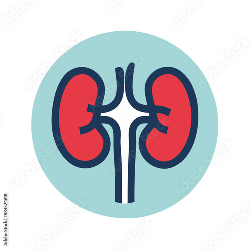 Medical kidney icon in modern flat style with blue and red colors, design concept
