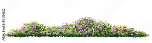 Vertor set of spring blossom tree,blooming plants side view for landscape elevation and section,eco environment concept design,watercolor shrub illustration,colorful season