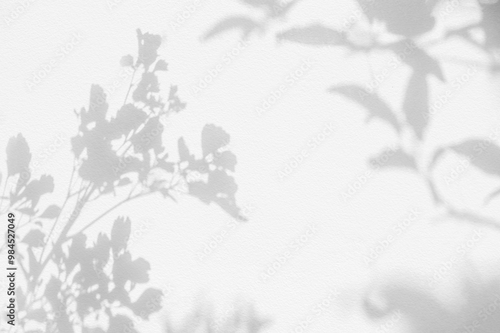 Leaf shadow and light on wall background. Nature tropical leaves tree branch plant shade sunlight on white wall for wallpaper, shadow overlay effect foliage mockup, graphic layout, wallpaper, design Leaf shadow and light on wall background. Nature tropical leaves tree branch plant shade sunlight on white wall for wallpaper, shadow overlay effect foliage mockup, graphic layout, wallpaper, design