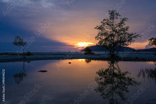 A beautiful sunset over a body of water with a tree in the foreground ,thongkrut beach ,koh samui, thailand