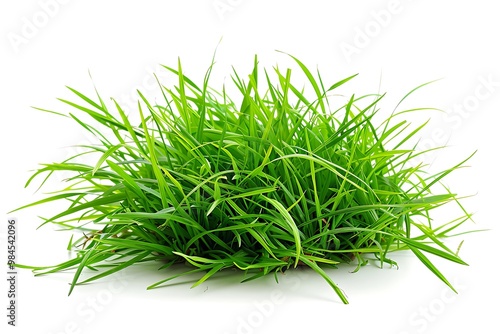 Green grass isolated on white background