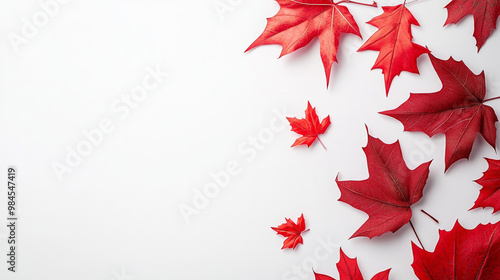 Vibrant red maple leaves arranged artistically, celebrating Columbus Day in autumn photo