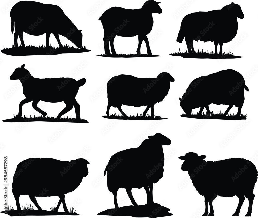 Fototapeta premium Illustration of Sheep Silhouette one set