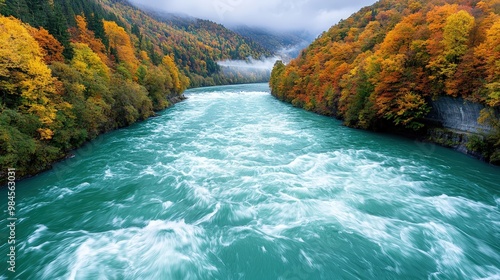 A river with a lot of water and trees in the background photo