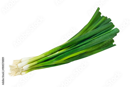 1 Bund Lauchzwiebeln und Hintergrund transparent PNG cut out  Spring Onions photo