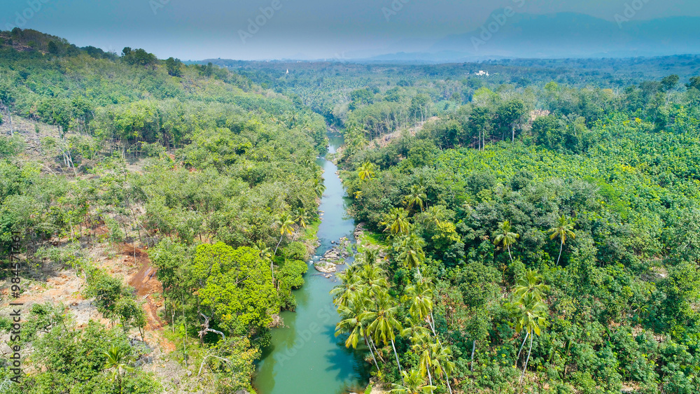 Obraz premium Summer landscape with river and trees