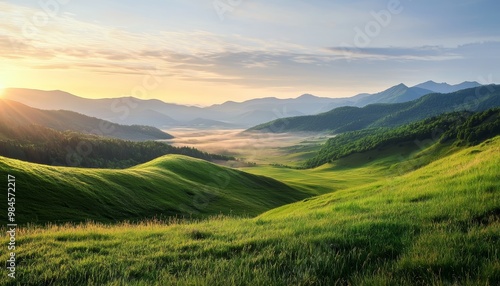 A tranquil morning in a valley, where the sun's golden light paints a picturesque scene of peace and natural beauty.