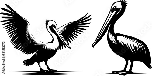 pelican silhouette vector style with white background