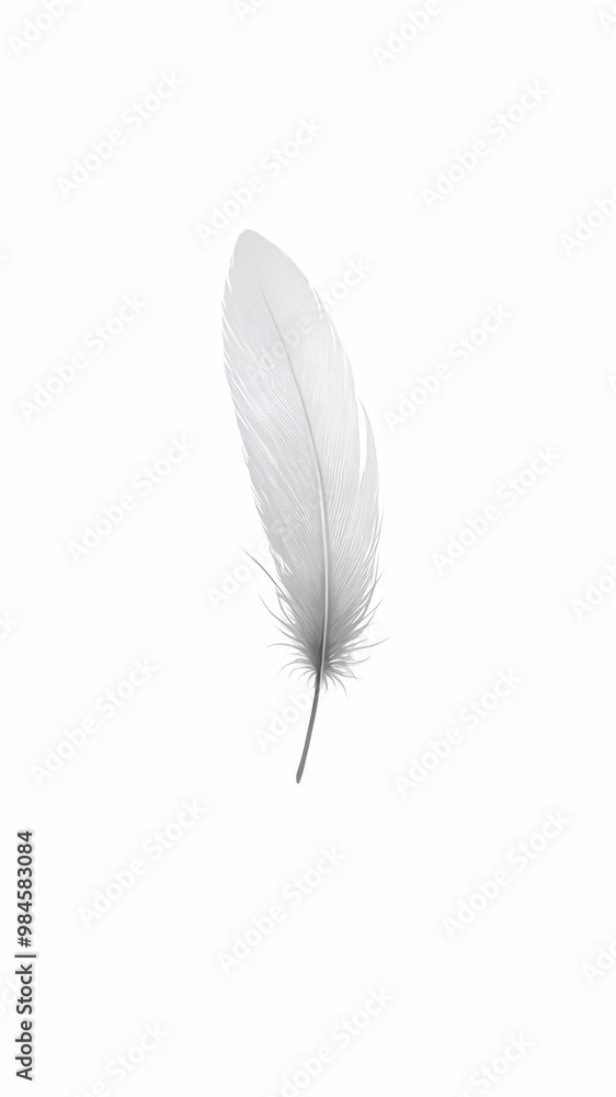 Obraz premium feather isolated on white background wallpaper
