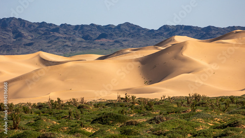 Gobi desert sand dunes with mountains in the back and green hills
