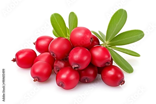 Bearberry with leaf isolated on white background