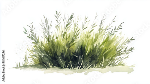 Watercolor illustration of a lush green bush with delicate leaves.