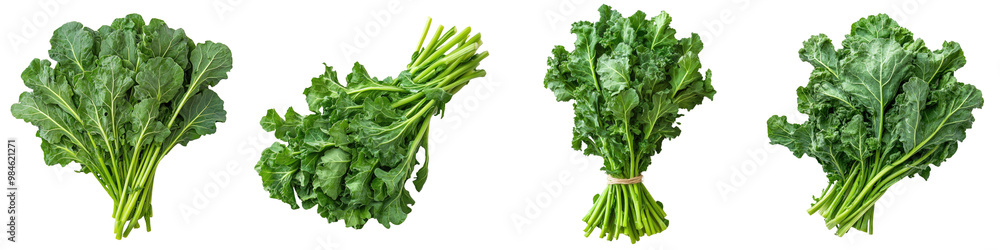 Rapini/Broccoli rabe - Bitter and earthy often saluted Isolated on Clear White Background Highly Detailed Rapini/Broccoli rabe - Bitter and earthy often saluted Isolated on Clear White Background Highly Detailed