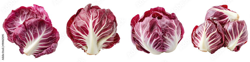 Radicchio - Bitter and crunchy perfect for salads Isolated on Clear White Background Highly Detailed Radicchio - Bitter and crunchy perfect for salads Isolated on Clear White Background Highly Detailed
