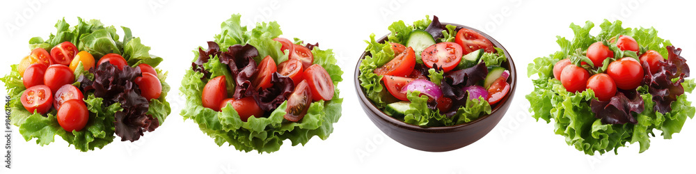 perfect for salads Isolated on Clear White Background Highly Detailed perfect for salads Isolated on Clear White Background Highly Detailed